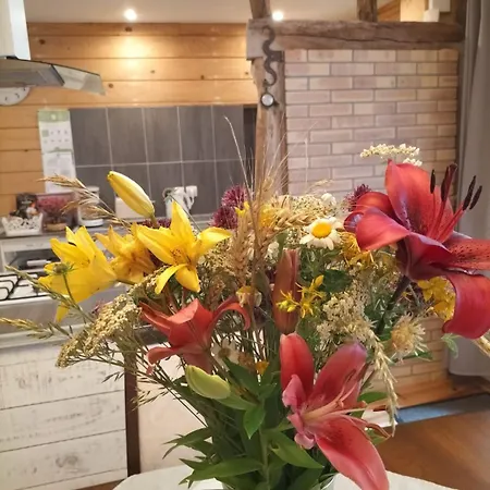 La Cave A Julie Vakantiehuis Mirepoix (Ariege)