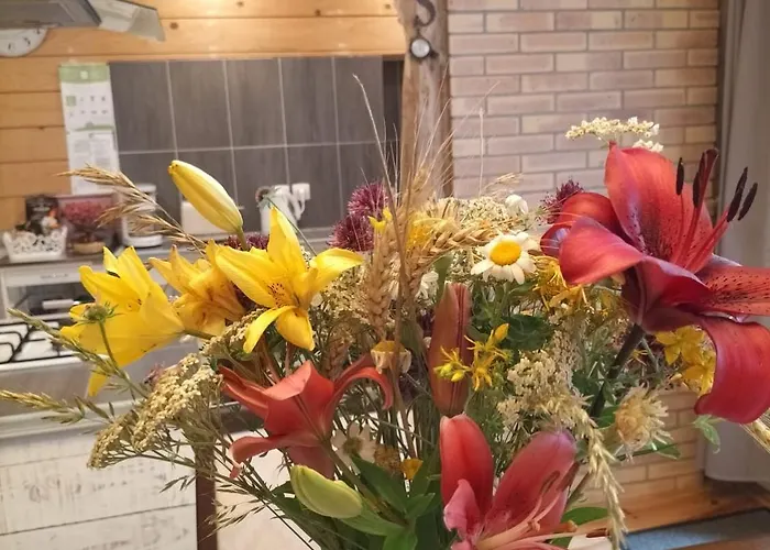 La Cave A Julie Vakantiehuis Mirepoix (Ariege)